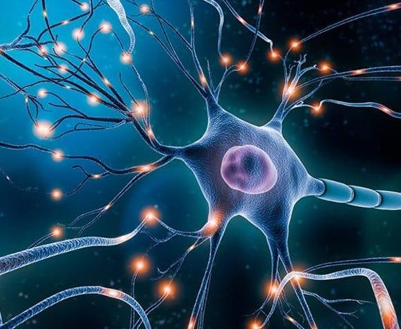 Fire Up Your Neurons - Recorded